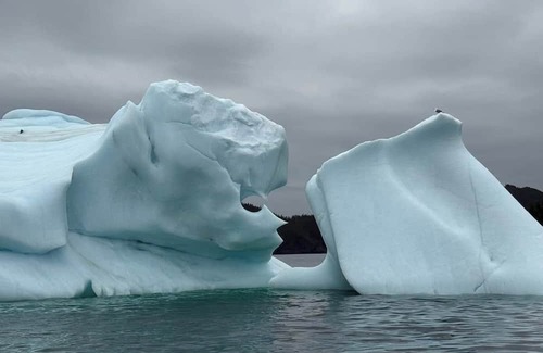 Pilley's Island Hotel | Luxury rooms, brewery, and restaurant with local dishes and Newfoundland views