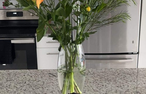 Port Wentworth Apartment | Cozy Home Away from Home 1Bd/1Ba in lovely Savannah