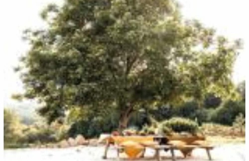 Jumilhac-le-Grand House | La Petite Grange des Vignes - peace and quiet in the countryside