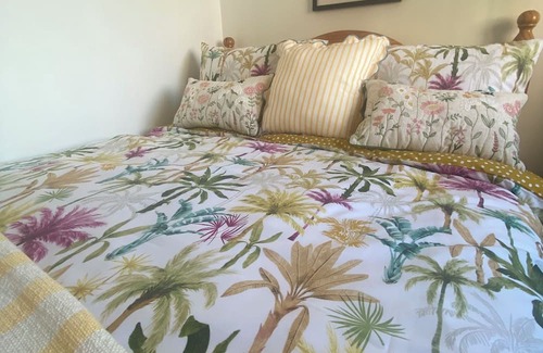 Londonderry Apartment | Cosy Irish Cabin studio in fabulous Derry with WiFi & Private Bathroom