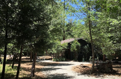 Idyllwild Cabin | Dog friendly Vintage Cabin with a stroll to Town