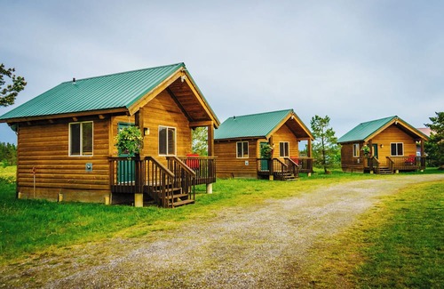 Last Chance Cabin | Cozy Mini-Cabin Surrounded by Nature's Beauty!