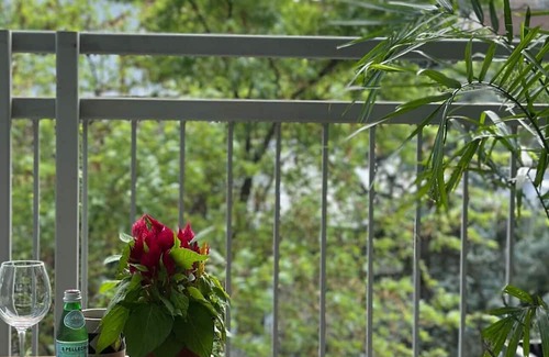 Greenpoint Apartment | Studio Copal with Private balcony in wonderful Williamsburg