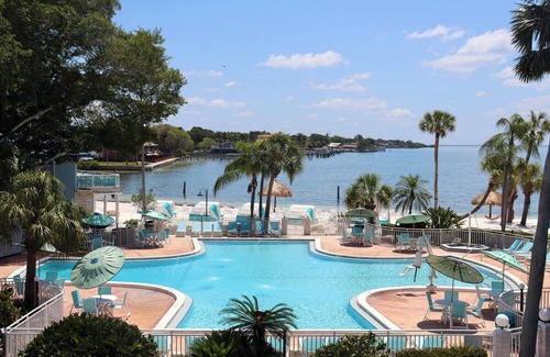 Pinellas Point House | Coastal Vibes Await: Dive into Adventurous Excursions and Tranquil Evenings
