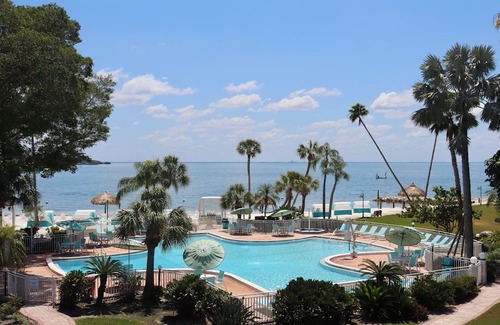 Pinellas Point House | A Slice of Paradise: Relax, Play, & Indulge in Unique St Pete Experience!