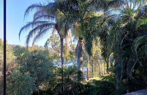 Tannum Sands Apartment | Beautifully appointed Riverside Apartment with views near to river and beach.