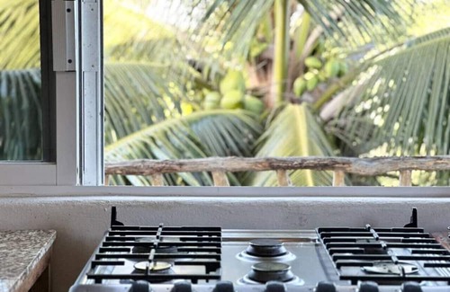 Emiliano Zapata Apartment | Penthouse - SolSurf House Mita