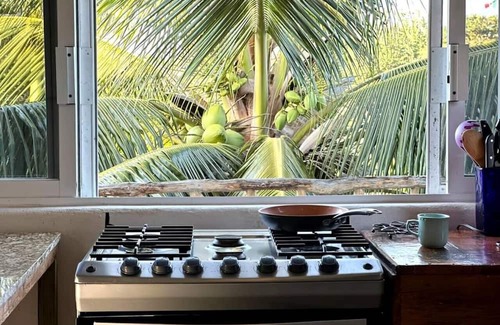 Emiliano Zapata Apartment | Penthouse - SolSurf House Mita