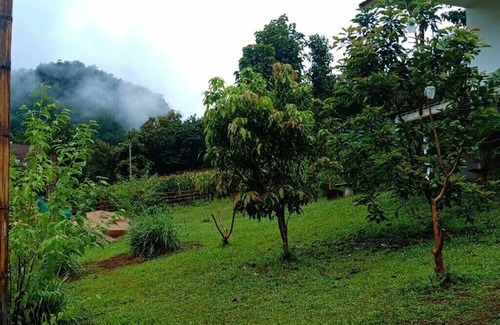 Pangmapha Cottage | GJ TOUR Cozy homestay in beautiful Pangmapha, Tham Lot with AC.