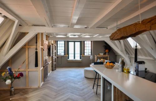 Binnenstad Apartment | Anno 1706 apartments