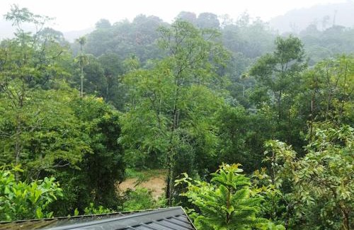 Elappara Resort | River arena Holidays
