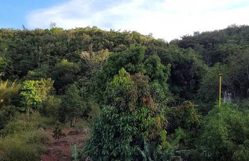 Mandeville Apartment | Mountain view peaceful Abodes