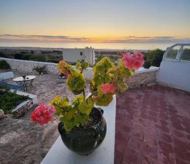 Moulay Bouzarqtoune House | Dar janoub
