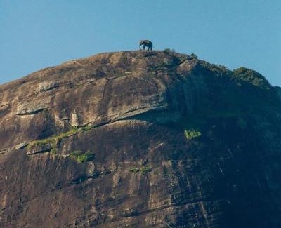 Habarana Hotel | Habarana edge eco hotel