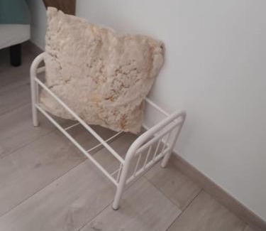 Offranville House | Aux oiseaux qui chantent !