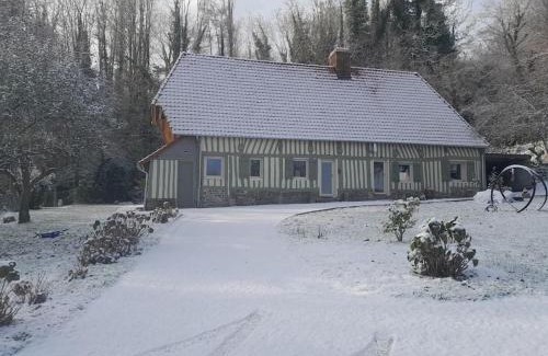 Offranville House | Aux oiseaux qui chantent !