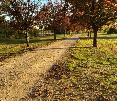 Les Metairies Hotel | Hotel Karina