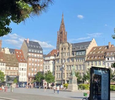 Poincare Apartment | Studio Strasbourg centre