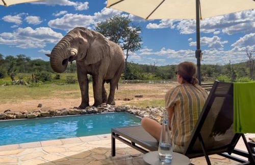 Okaukuejo Cabin | Ongava Tented Camp