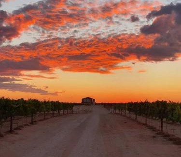 Strampriet House | !Kharuhase, Roots 817