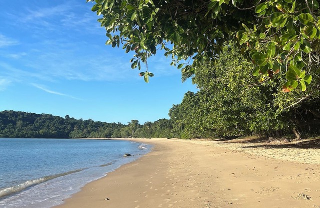 Coastal Queenslander on Mission Beach. Pet friendly