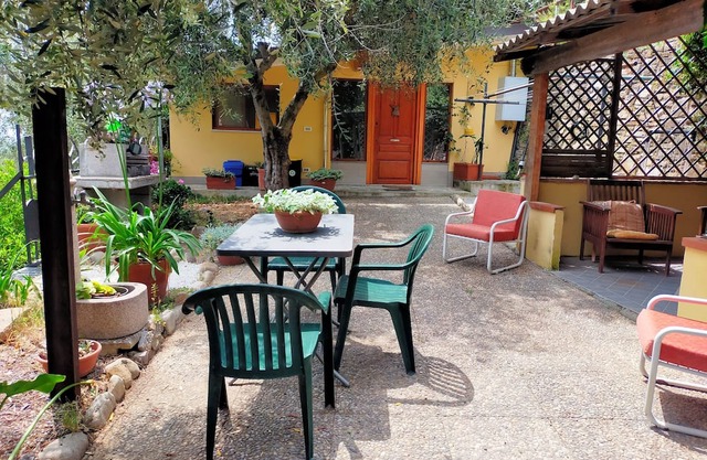 Peace and calm among the seven hundred olive trees