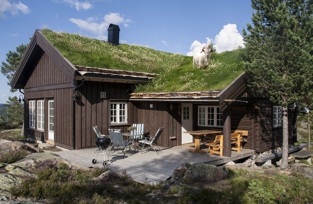 Moderne, lun og koselig tømmerhytte på Blefjell