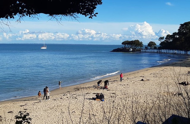 Belle Maison Contemporaine Proche de la mer et de la Forêt