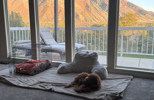 Stunning mountain and valley views this Alpine home is conveniently located.