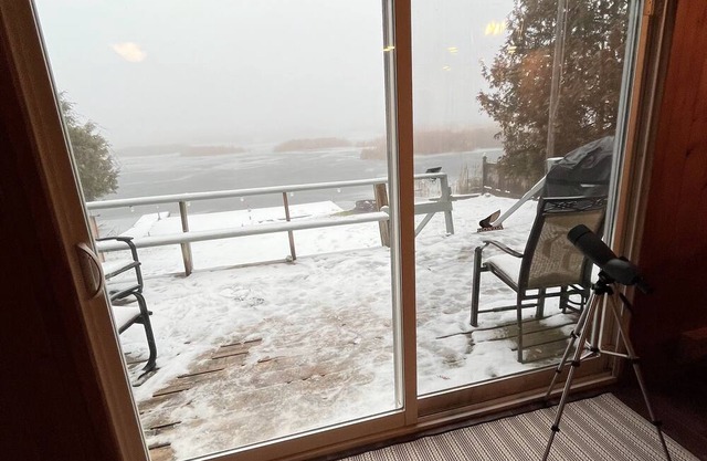 Kawartha Lakeside Haven. Cozy waterfront cottage, pet friendly retreat