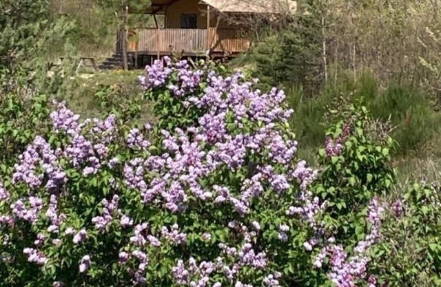 Glamping tent3: wild-life feeling with Provence touch 3 bedrooms (max. 6 guests)