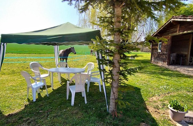 Homerez - Big mansion for 12 ppl. with terrace and balcony at Mancey