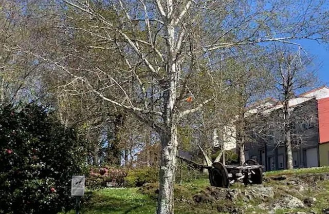 Vivienda Situada en un Entorno Tranquilo, Seguro y Naturaleza
