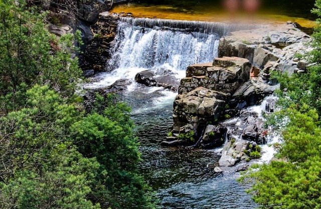 5 Minutes From the River Beach, Family Room in Góis in a Quiet Rural Setting