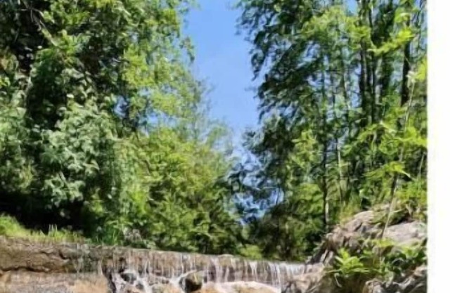 Forest cottage minutes from the sea