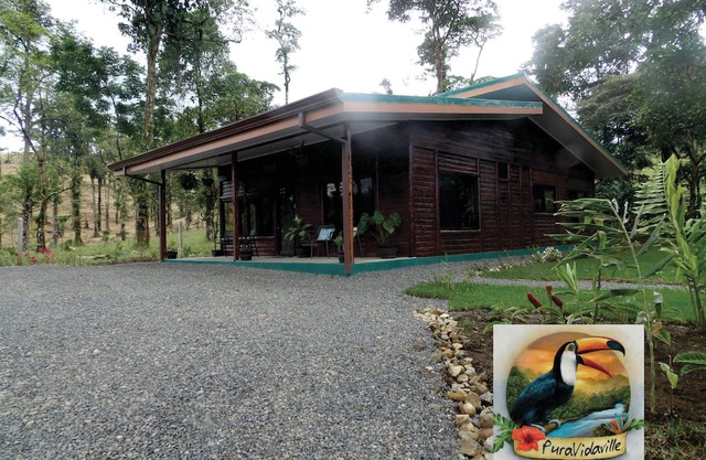 Pura Vidaville: Your Modern Tropical Escape in the Heart of Costa Rica