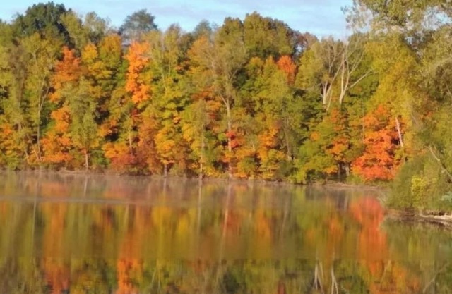 Lakeshore Escape: 3-bedroom, pet friendly home, 10 min from Turnpike