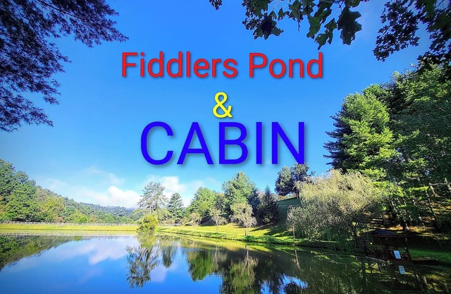 Fiddlers Pond Cabin, Galax Va, New River Trail & Fishing. PET FRIENDLY