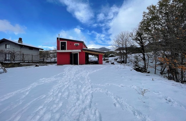 Monte Arso houses. relaxing houses on Etna volcano nestled in the forest and orchard