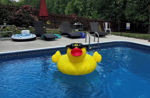 The Oasis! Close to downtown Raleigh & Coastal Credit Union at Walnut Creek