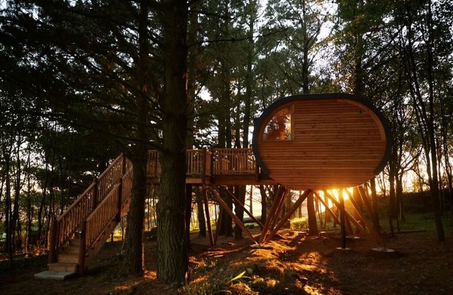 The Loft at Pickwell Manor- A unique and wonderful treehouse with an ocean view