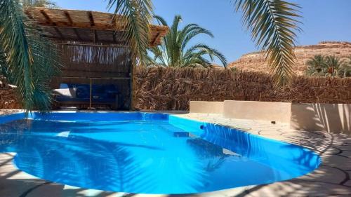 Siwa Kenz
