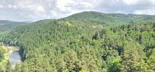 L'envol des papillons