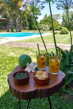 Leonedo Home