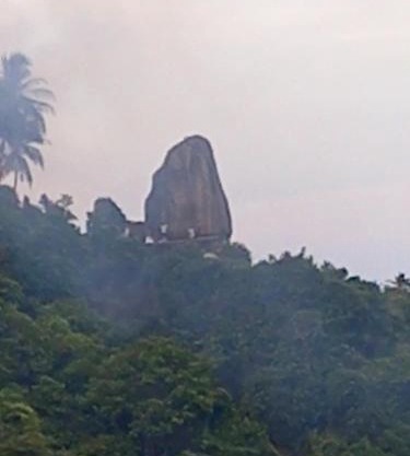 CocoMongo