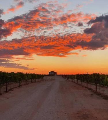 !Kharuhase, Roots 817