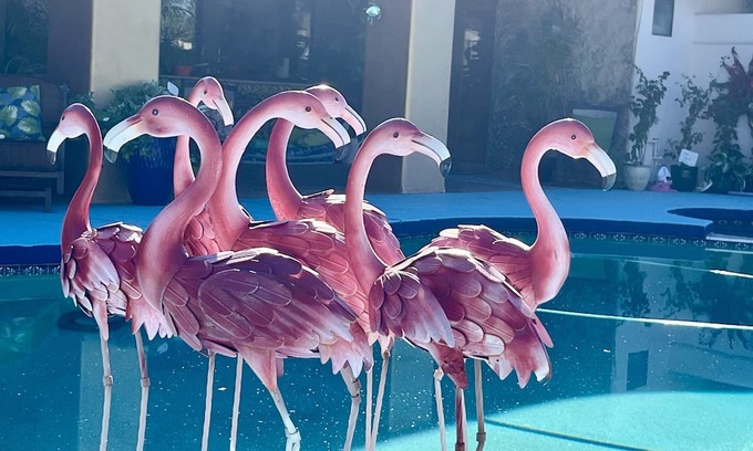 Scottsdale Foothills House | THE MADONNA INN SCOTTSDALE (private room/rooms) LUXURY SUITES TALIESIN WEST!!!