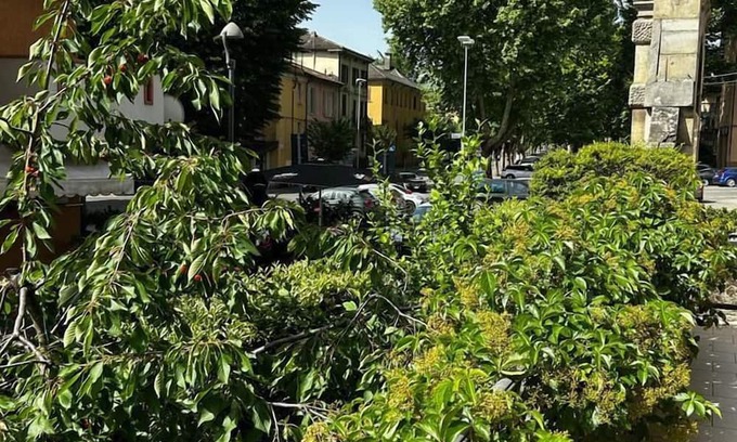 Borgo Val di Taro Hotel | Hotel Mistrello