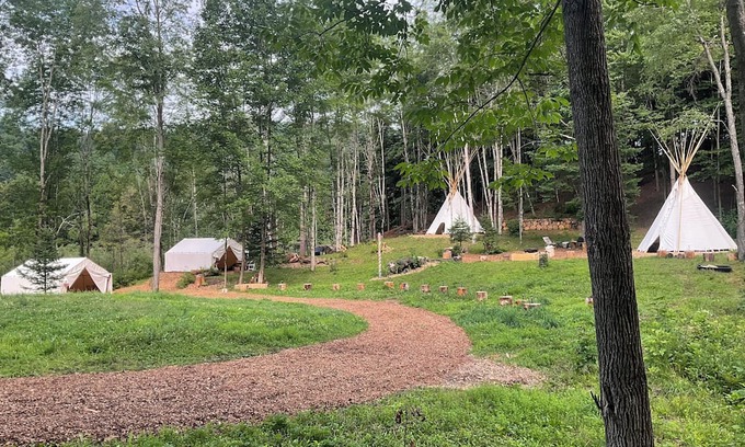 Williamstown Cabin | Lodges @ Tamias Post