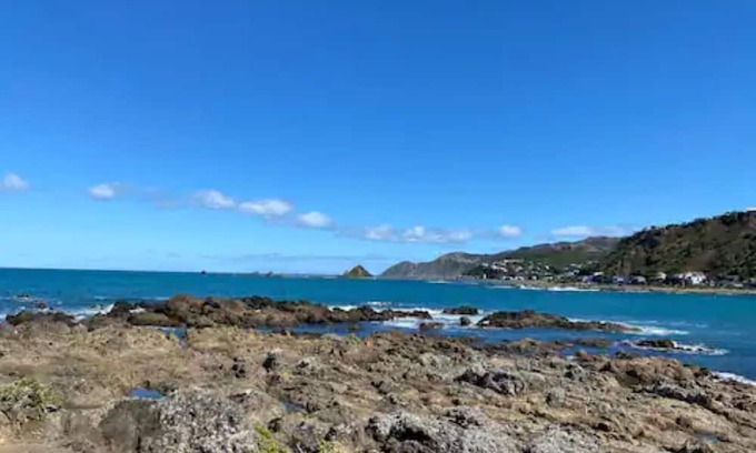 Wellington Apartment | The Lighthouse